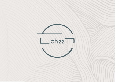 ch22品牌标识